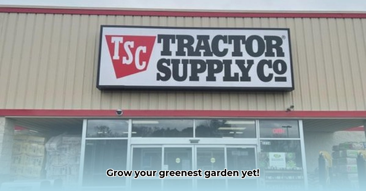 tractor-supply-natchez-mississippi